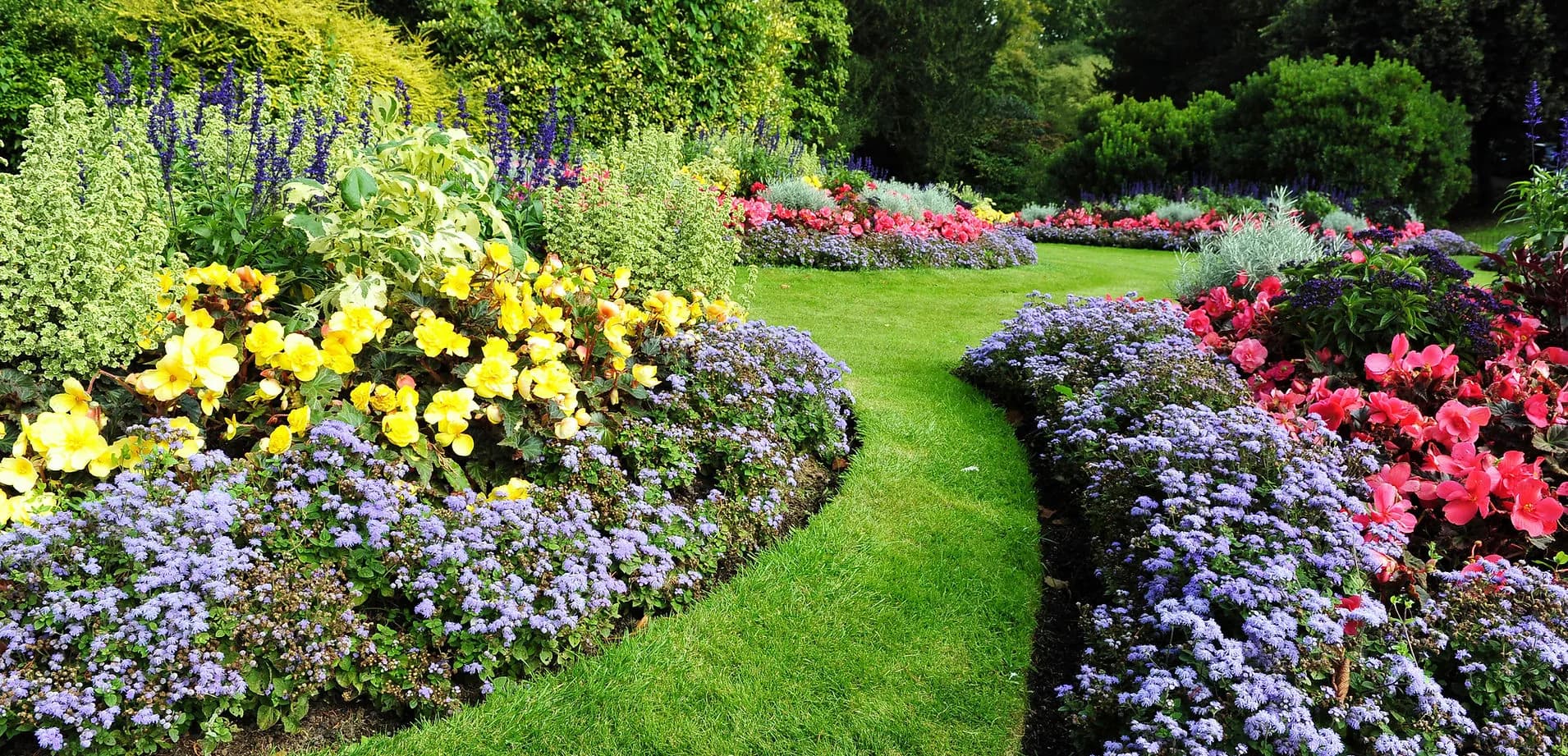 Giardino curato con attenzione alla qualità e ai dettagli naturali