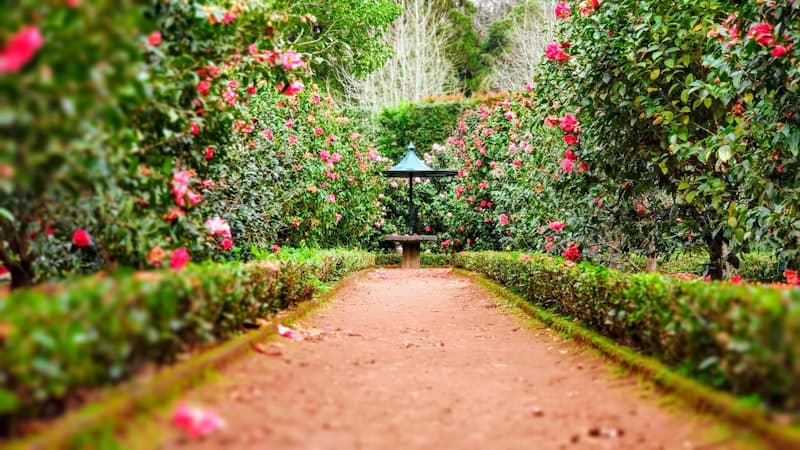 Realizzazione Giardini — servizio Visione Sostenibile